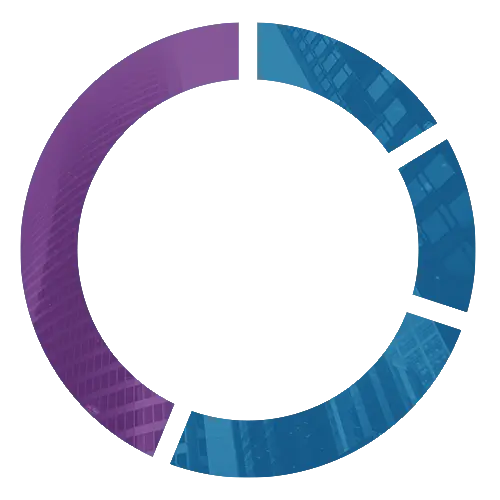 Gráfica circular